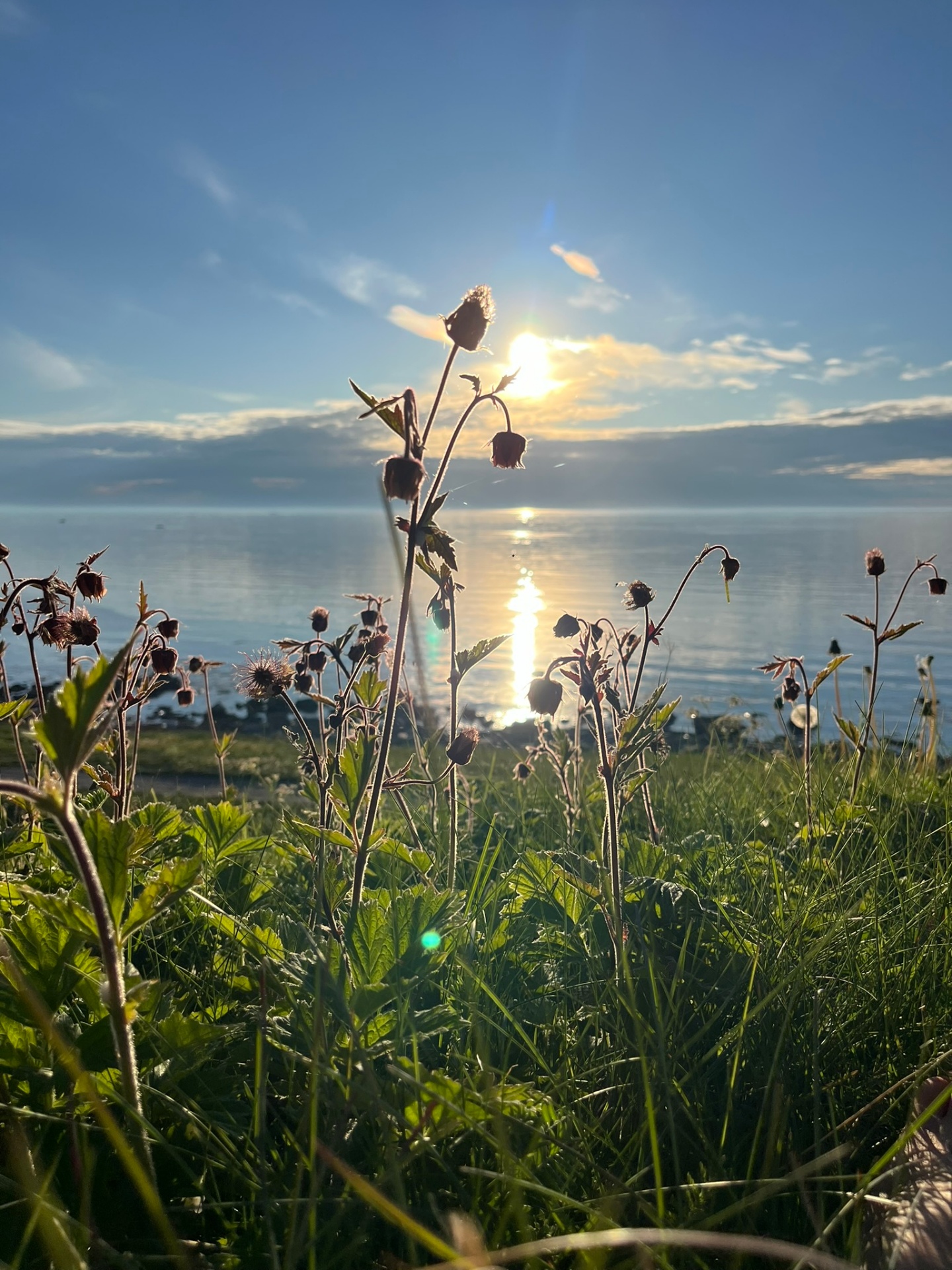 Sea and evening light